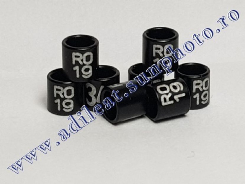 TextArt_181018185816 - Inele 3mm-2021