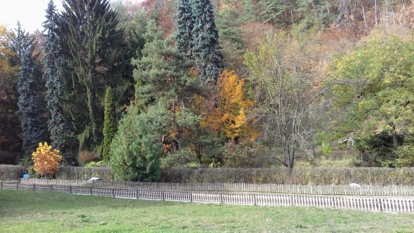  - Hațeg