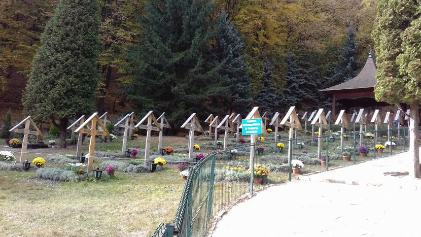  - Hațeg