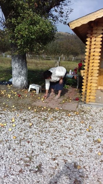  - Hațeg