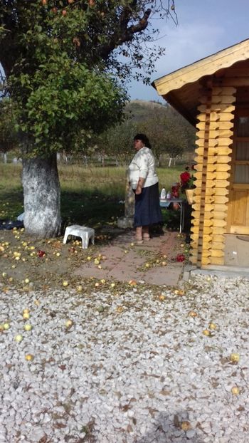  - Hațeg