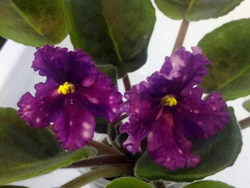 14 oct - Making Waves