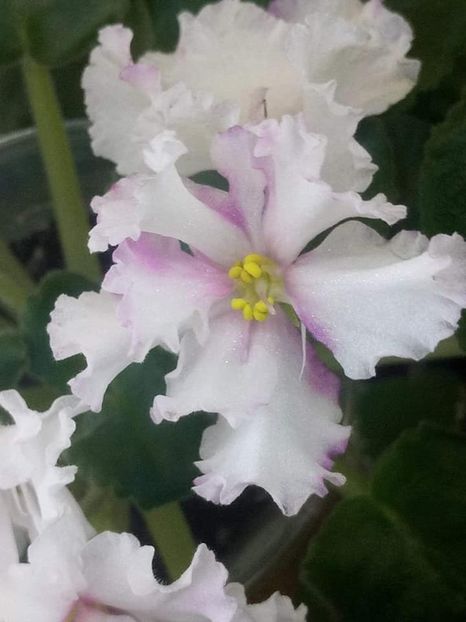 8 sept - ZZ LE Turmalinovoye Kol ye- LE Tourmaline Necklace