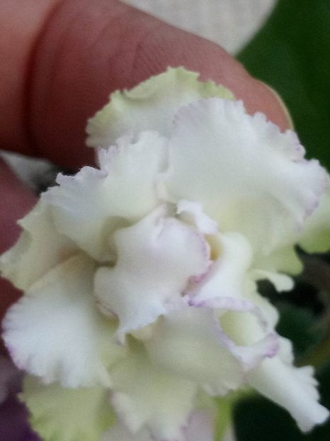 14 oct - ZZ LE Turmalinovoye Kol ye- LE Tourmaline Necklace