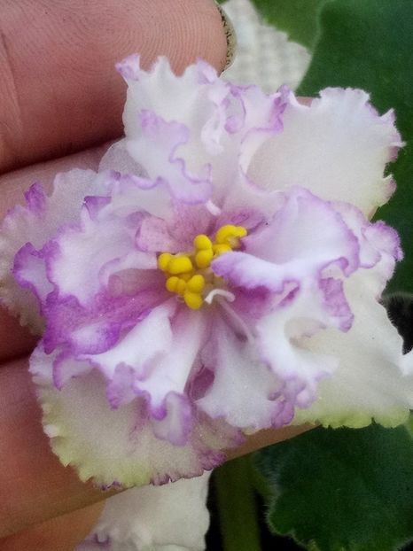 14 oct - ZZ LE Turmalinovoye Kol ye- LE Tourmaline Necklace