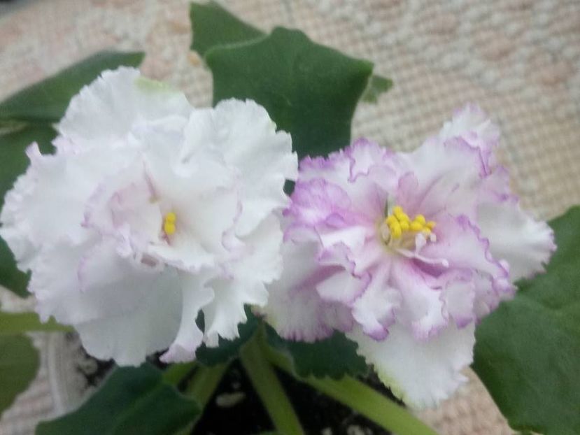 19 oct - ZZ LE Turmalinovoye Kol ye- LE Tourmaline Necklace