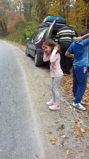  - Hațeg