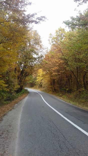  - Hațeg