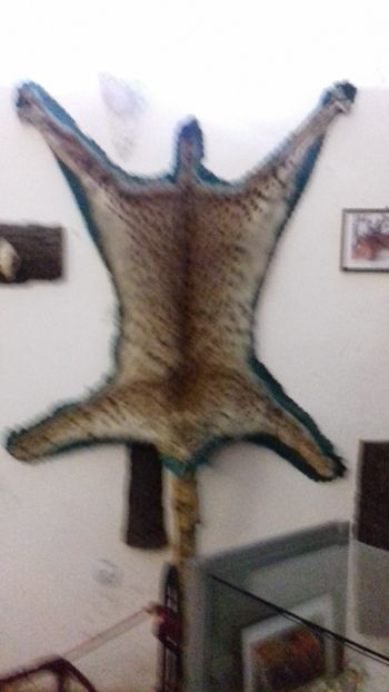  - Hațeg
