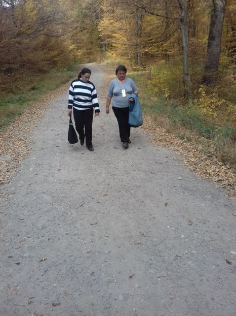  - Hațeg