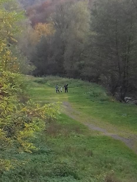  - Hațeg