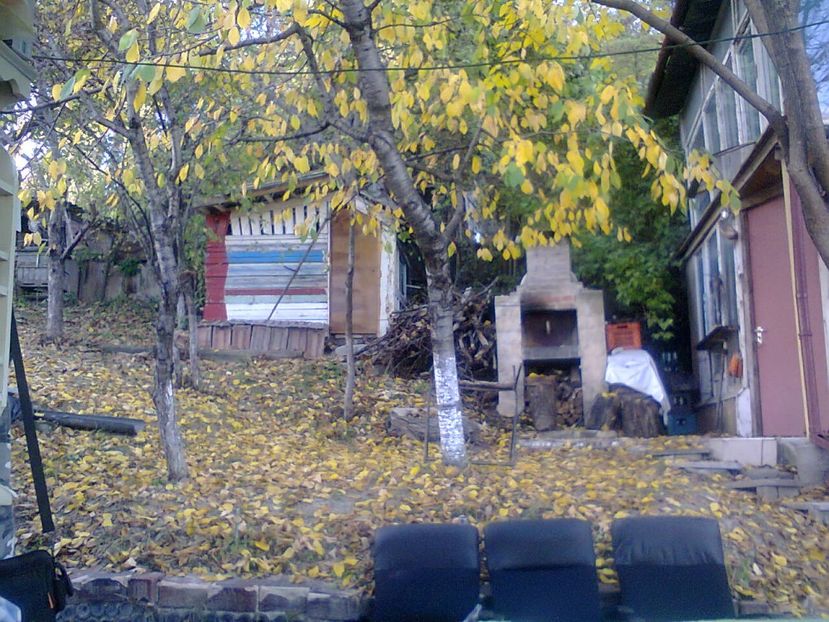 Fotografie4404 - 2018 ULTIMA ZI DE TOAMNA CALDĂ 22 GRADE 17 OCT