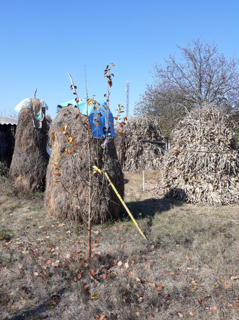 20181013_132711[1] - Generatia de toamna la ferma Santa
