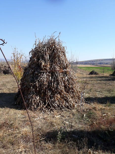 20181013_132614[1] - Generatia de toamna la ferma Santa