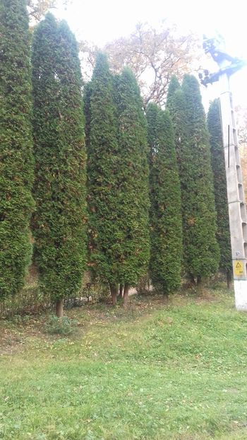  - Hațeg