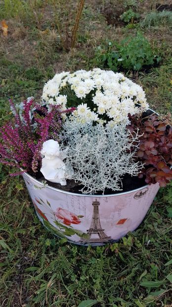 received_714657475565801 - Alte frumuseti
