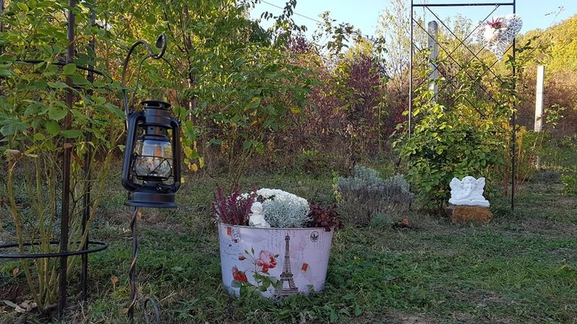 received_2095924297389280 - Alte frumuseti