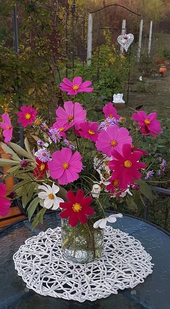 received_763910550619459 - Alte frumuseti