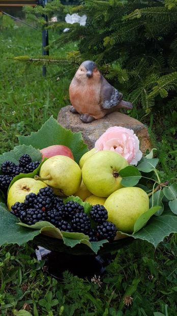 received_1821122451313584 - Alte frumuseti