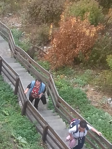  - Hațeg