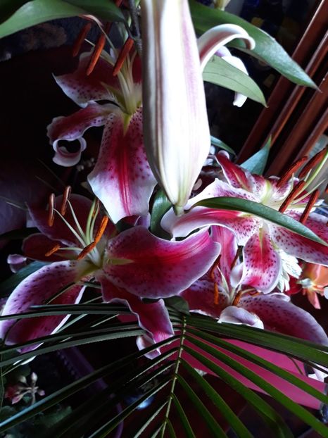  - Flori primite de ziua mea