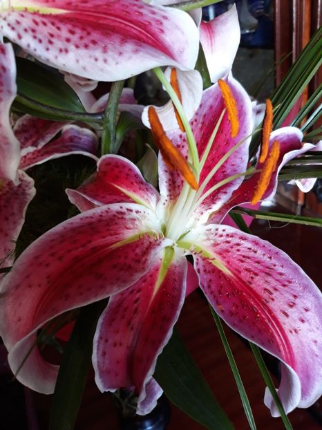  - Flori primite de ziua mea