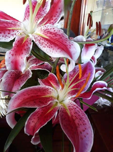  - Flori primite de ziua mea