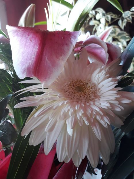  - Flori primite de ziua mea