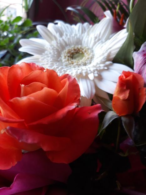  - Flori primite de ziua mea