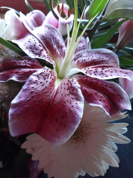  - Flori primite de ziua mea