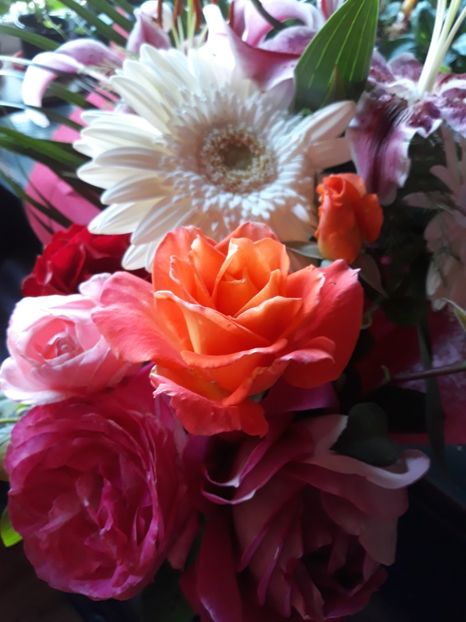  - Flori primite de ziua mea