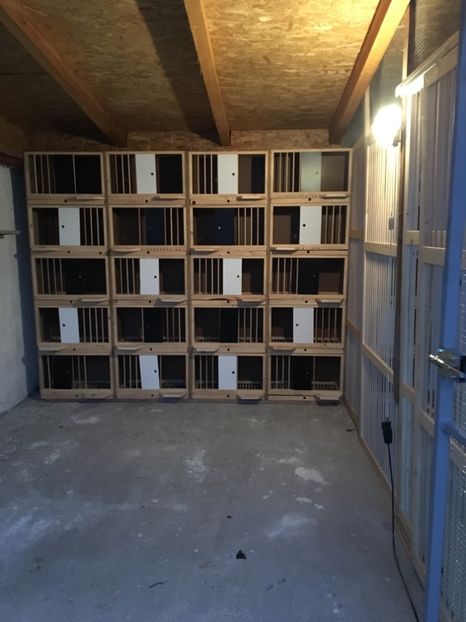 37B9B156-2E44-4CA9-A0FD-ADC542132AA5 - Boxe reproducție Voliere