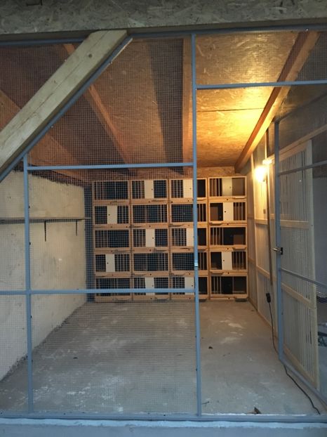 9242063F-DC94-4CE9-B8FE-724D5D6D26C5 - Boxe reproducție Voliere