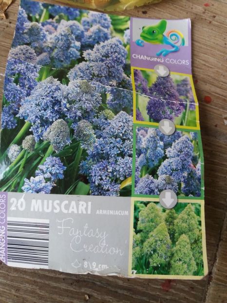  - Achizitii toamna 2018