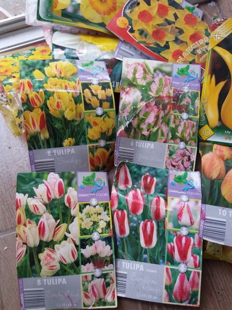  - Achizitii toamna 2018