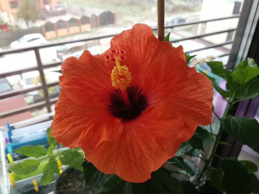  - October 2018