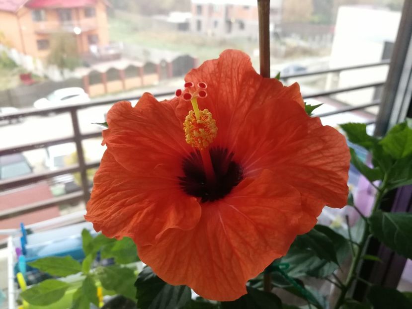  - October 2018
