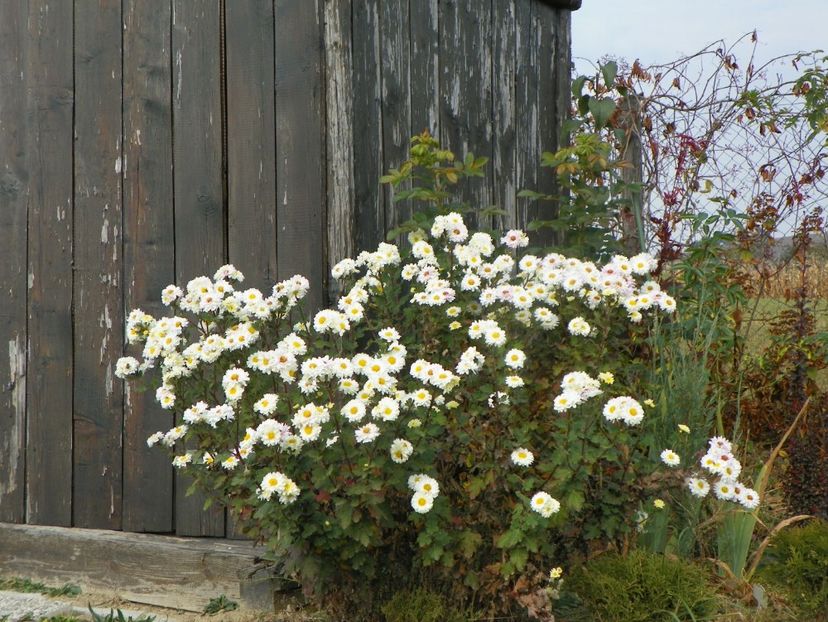 tufanele - Dobarland 2018 4