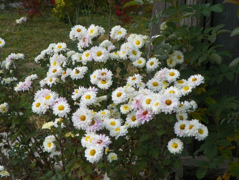 tufanele - Dobarland 2018 4