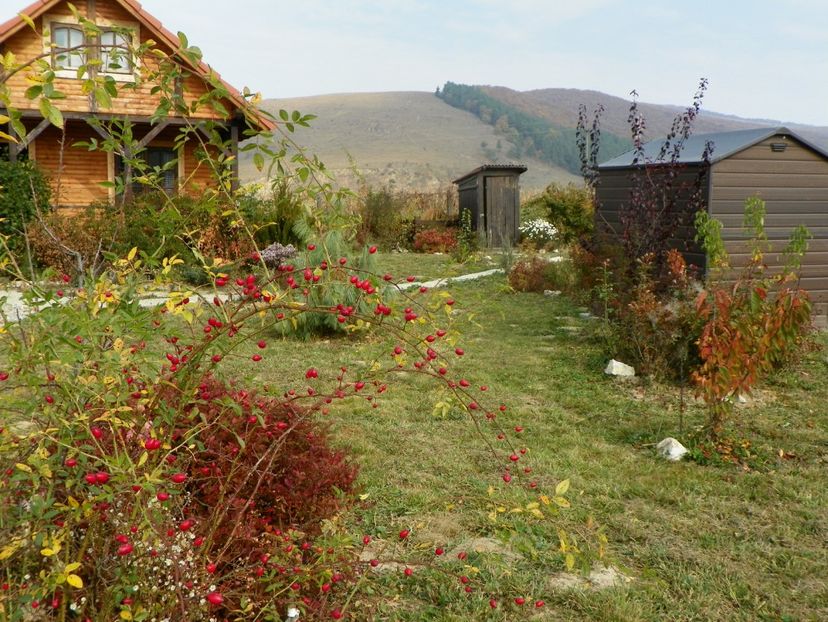 20 oct (41) - Dobarland 2018 4