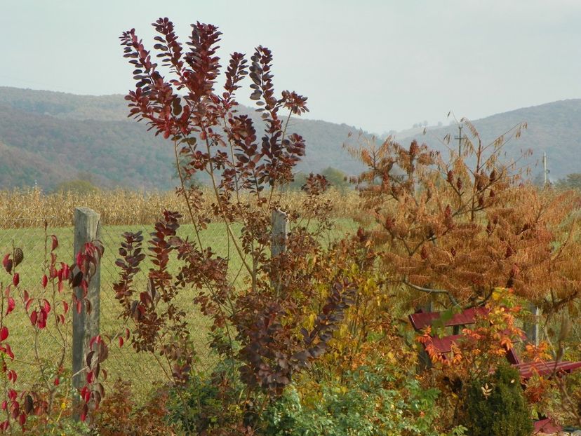 20 oct (51) - Dobarland 2018 4