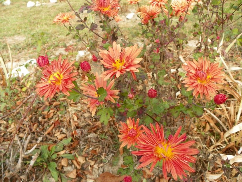 tufanele - Dobarland 2018 4