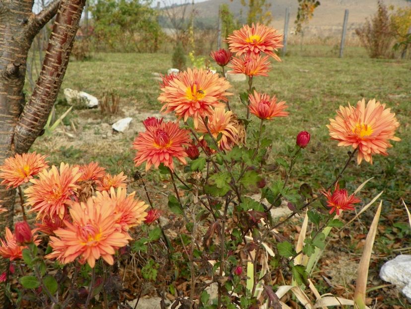 tufanele - Dobarland 2018 4