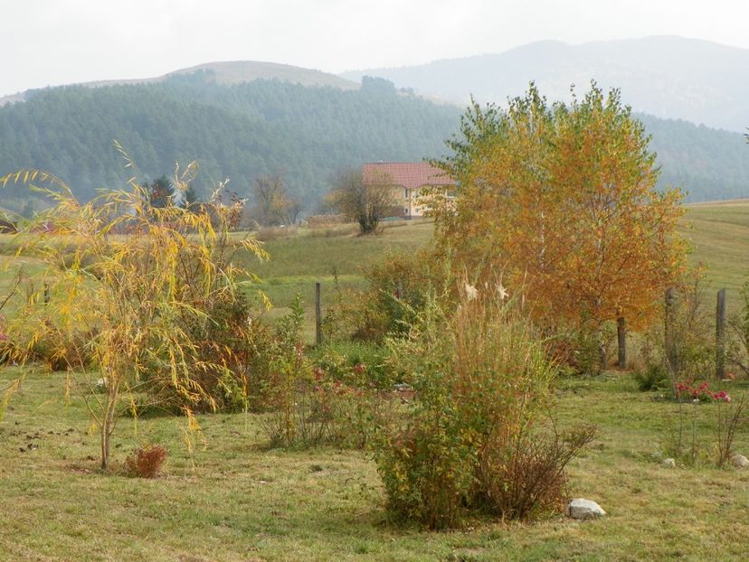 20 oct (68) - Dobarland 2018 4