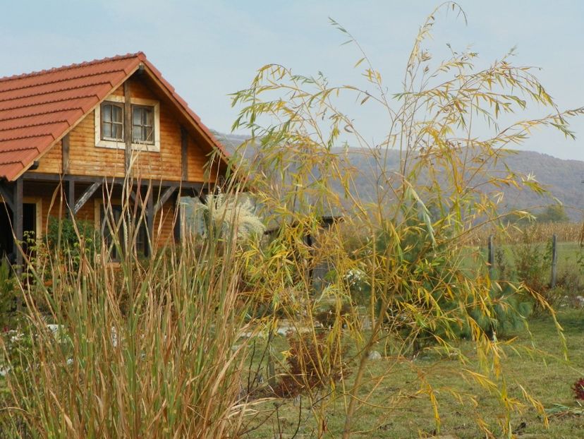 20 oct (70) - Dobarland 2018 4