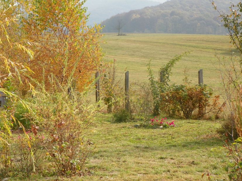 20 oct (74) - Dobarland 2018 4