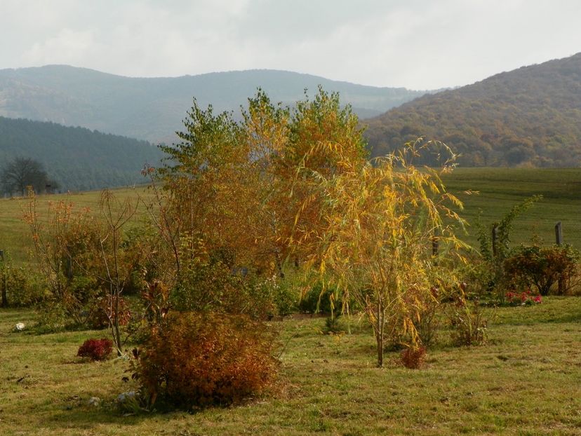 20 oct (76) - Dobarland 2018 4