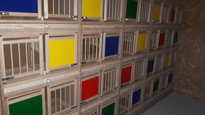  - Boxe colorate