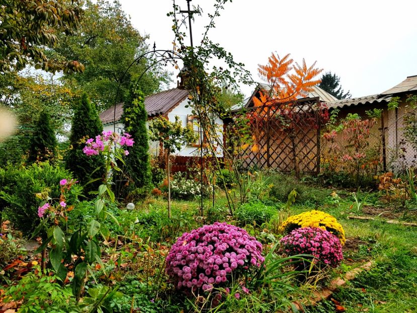  - 2018_Idilic garden iulie-oct