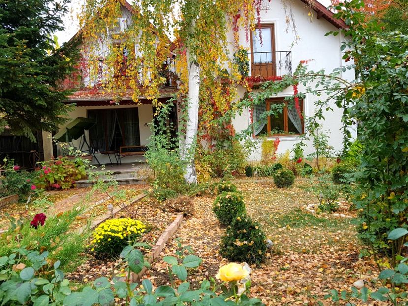 - 2018_Idilic garden iulie-oct